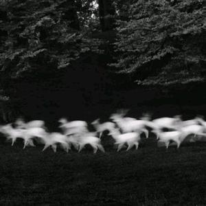 老太婆熟wBBwBBwBBw
